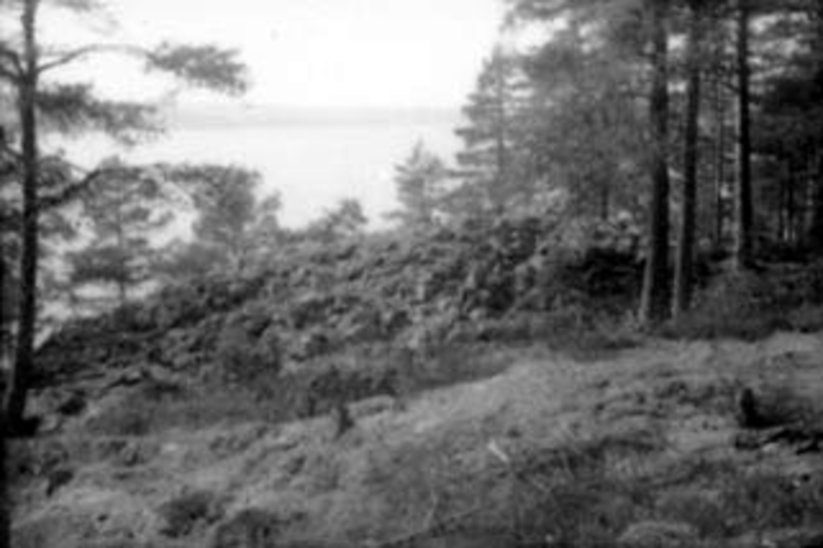Anno Domkirkeodden, FORTIDSMINNE, FORNMINNE, GRAVRØYS, TANGEN