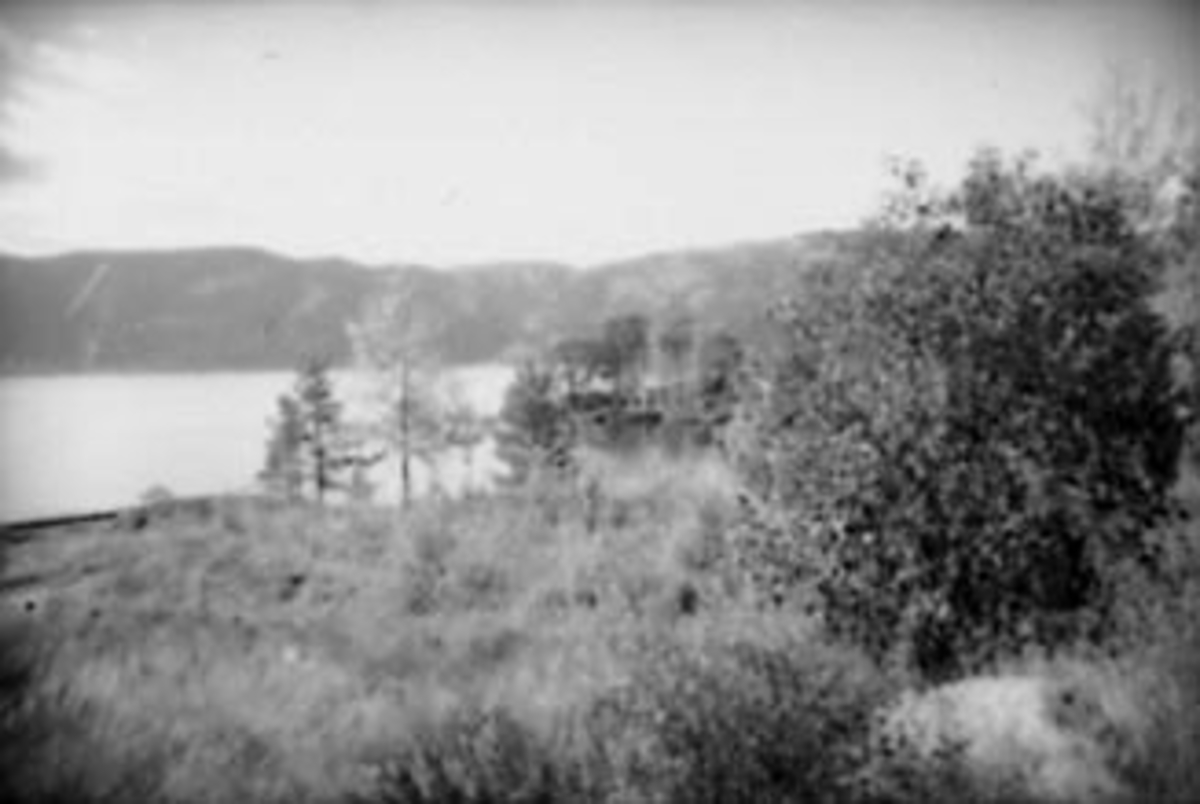 Anno Domkirkeodden, UTSIKT OVER MJØSA?