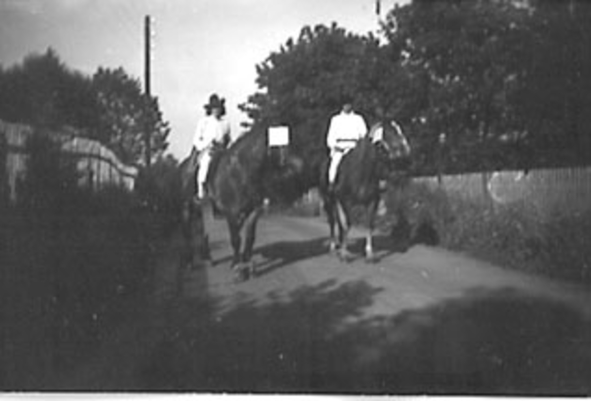 Anno Domkirkeodden, OPPTOG MED RYTTERE TIL HEST, STANGEDAG?