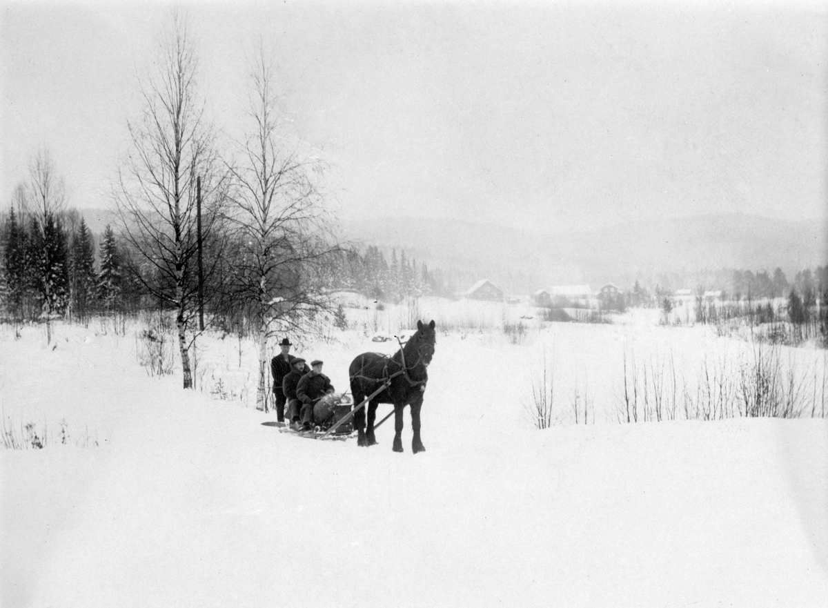 Normann Helger, HEST MED SLEDE, UKJENTE FOLK, VALLSET