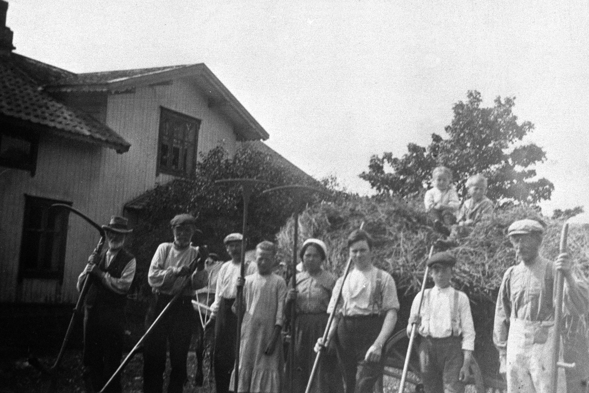 Normann Helger, SLÅTTONN, HØYONN, GRUPPE: 8 SLÅTTEFOLK MED RIVER FORAN HUS, 2 BARN PÅ HØYLASSET, FRA VENSTRE: KNUD DAMSVEEN (HUSMANN), ELIAS PEDERSEN, HANSSTUEN, EINAR HESTNES, SIGNE HAUGSRUD, INGA JAKOBSEN, GEORG ØSTBY, EKEBERGFOLKET, KRISTIAN HAGEN, OLE HØDEN, PÅ LASSET: KAREN HESTNES OG EVEN HESTNES, . HESTNES …