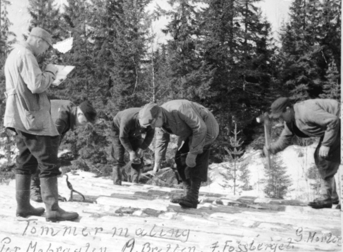 Anno Domkirkeodden, GRUPPE: 5 MENN TØMMERMÅLING, FRA VENSTRE: PER MOBRÅTHEN, ARNE BRETTEN, JON FOSSBERGET, GUDBRAND MORTERUD, EDVIN FOSBERGET, EKEBERG ALLMENNING