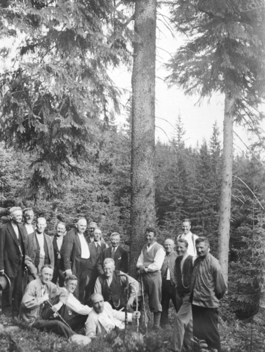 Anno Domkirkeodden, GRUPPE: 17 MENN PÅ SKOGBEFARING, STANGE ALLMENNING