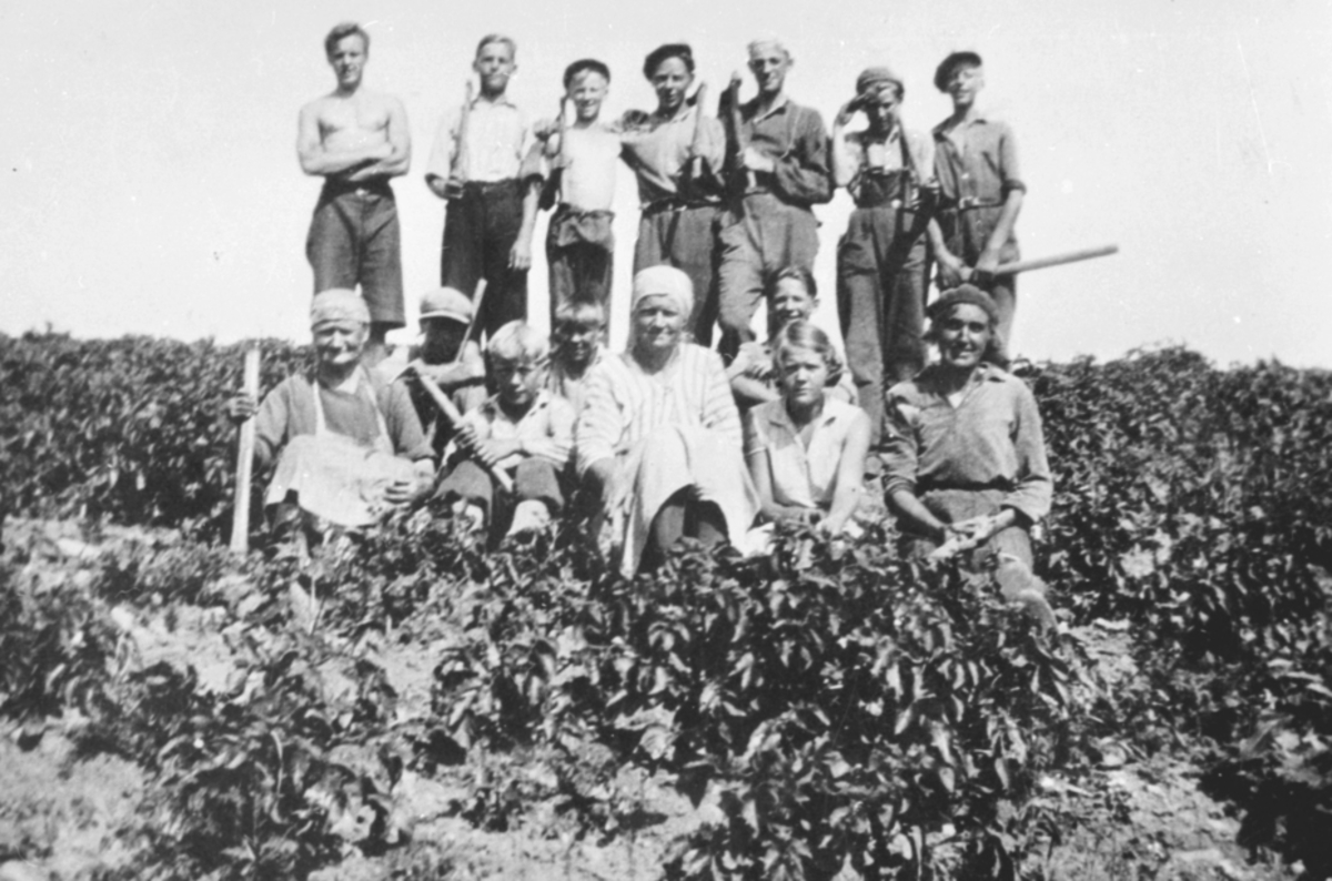Anno Domkirkeodden, POTETONN, GRUPPE 15 POTETRENSKERE, TOKSTAD