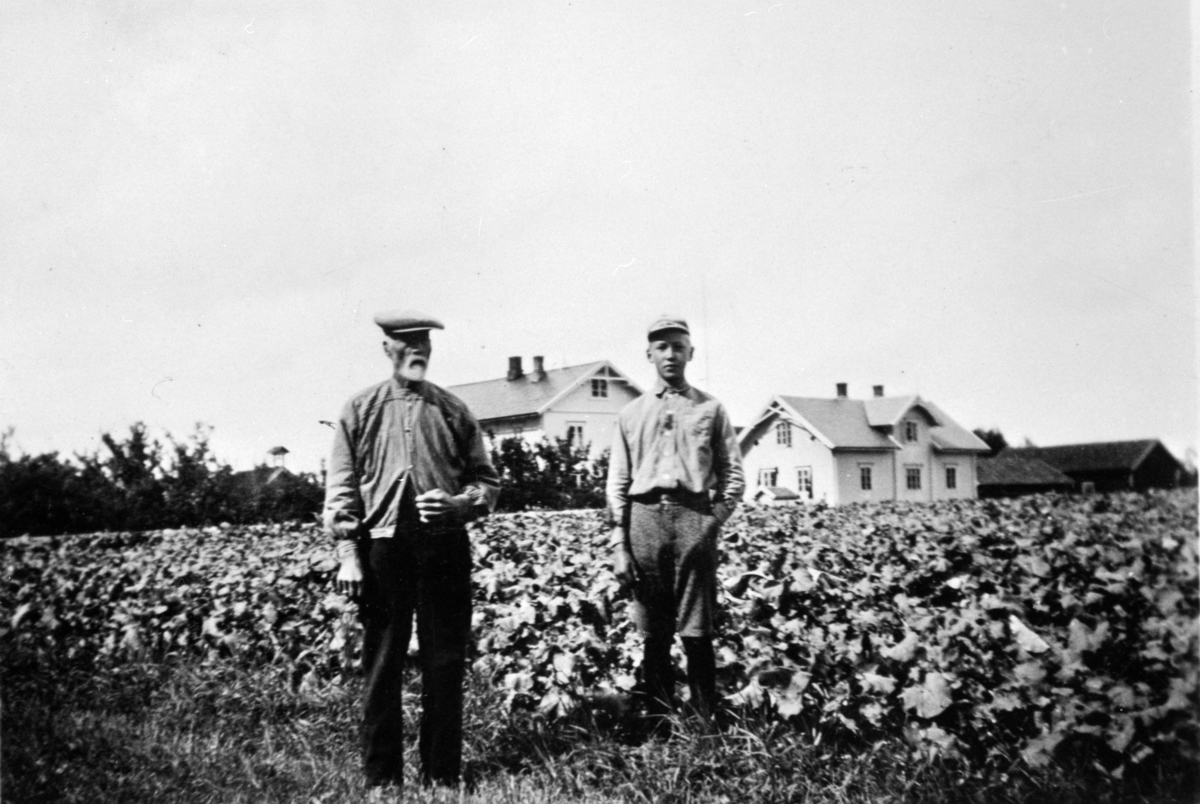 Anno Domkirkeodden, KÅLÅKER, GRUPPE: 2 MENN FRA VENSTRE: GUNDER HAUGAASEN, GUNNAR FILSETH, ÅSVANG. Gunder Olsen født 31/12-1853, død 22/12-1933 Gunnar Filseth født 15/12-1918, død 31/1-1935