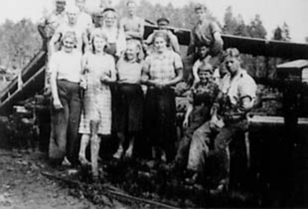 Anno Domkirkeodden, GRUPPE: 16 ARBEIDSTOKKEN, BRENNTORVPRODUKSJON, SOLIMYRA, VALLSET