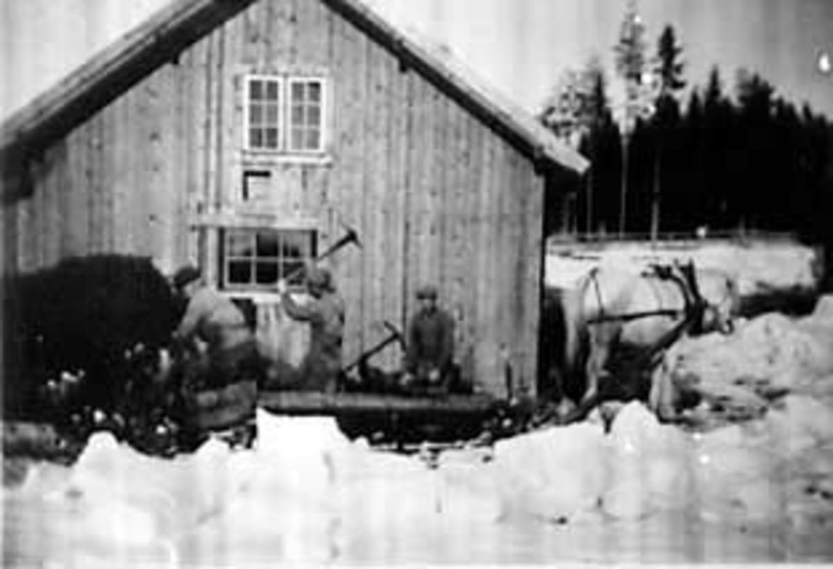 Anno Domkirkeodden, MØKK KJØRING MED HEST, GRUPPE: 3 MENN ARBEIDER: MATHIAS NORDAL, IVAR NORDAL, KRISTIAN NORDAL, BJØRNHOLEN, ILSENG
