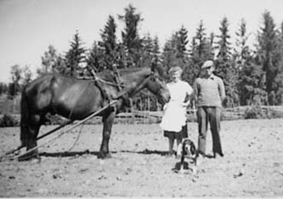 Anno Domkirkeodden, VÅRONN, GRUPPE: 2 MED HUND OG HEST, BRUKERE AV NYSTUA, NYSTUA UNDER NØTTESTAD