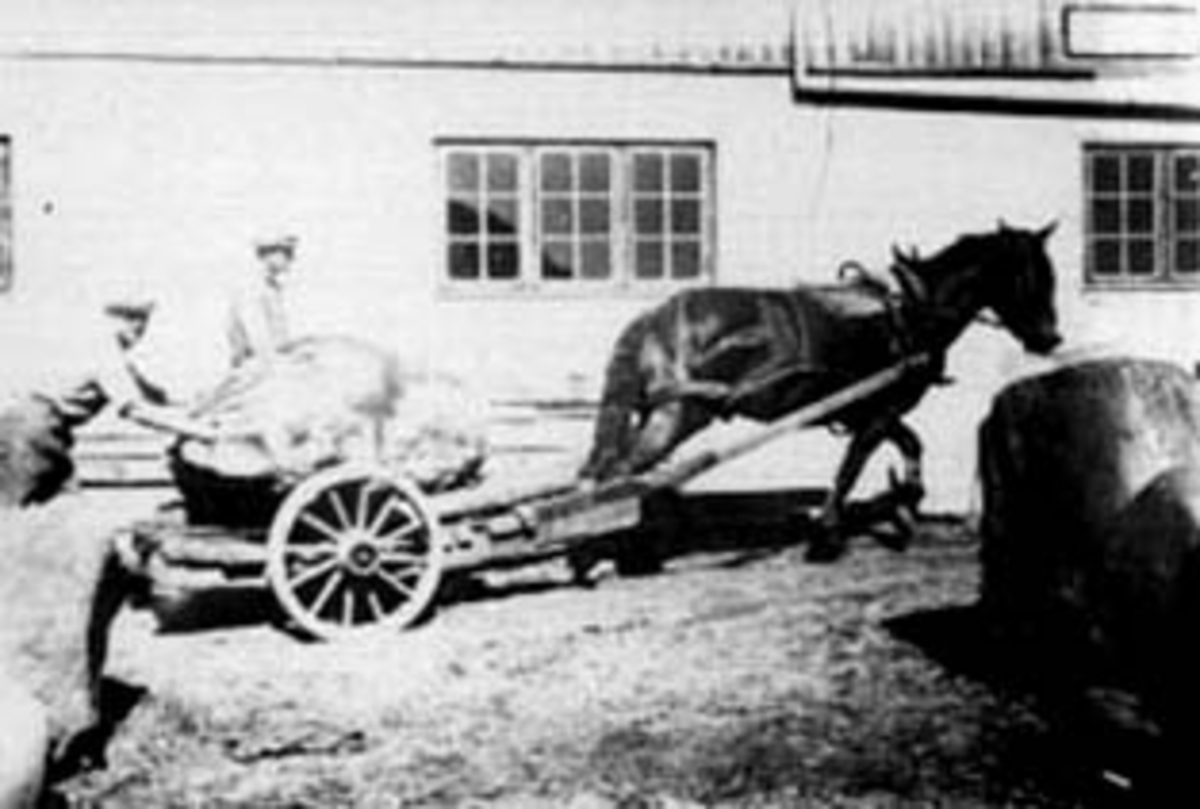 Normann Helger, HEST TREKKER KJERRE MED STOR STEIN TILBRUKARET I GRISHUSET, GRUPPE. 2: JENS JENSEN KJØRER, NILS JOHNSEN BAK, KJEMSTAD