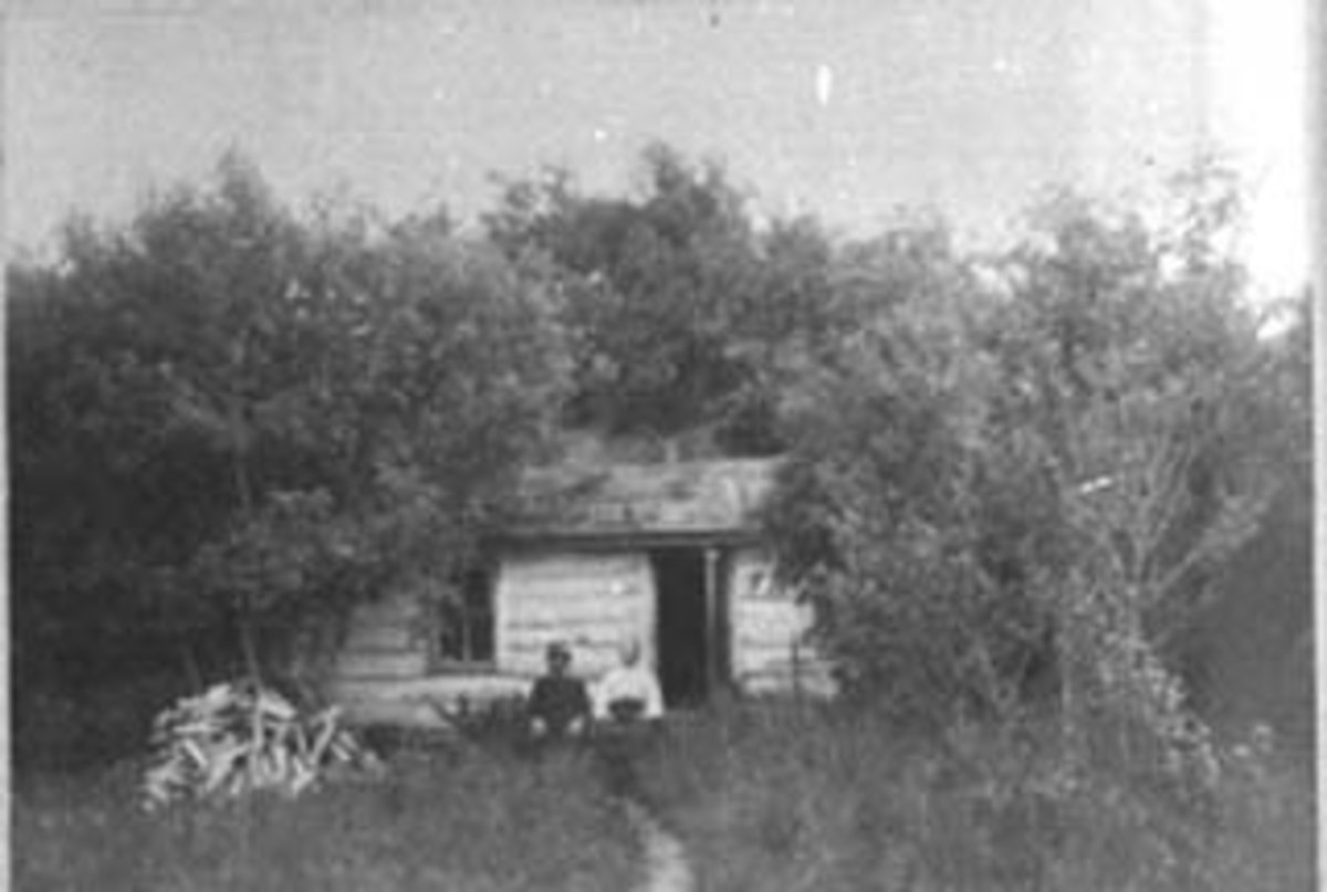 Normann Helger, EKSTERIØR: BOLIG, LOG-HOUSE, EMIGRANTER TIL USA, UKJENT PAR FORAN, (STANGE)