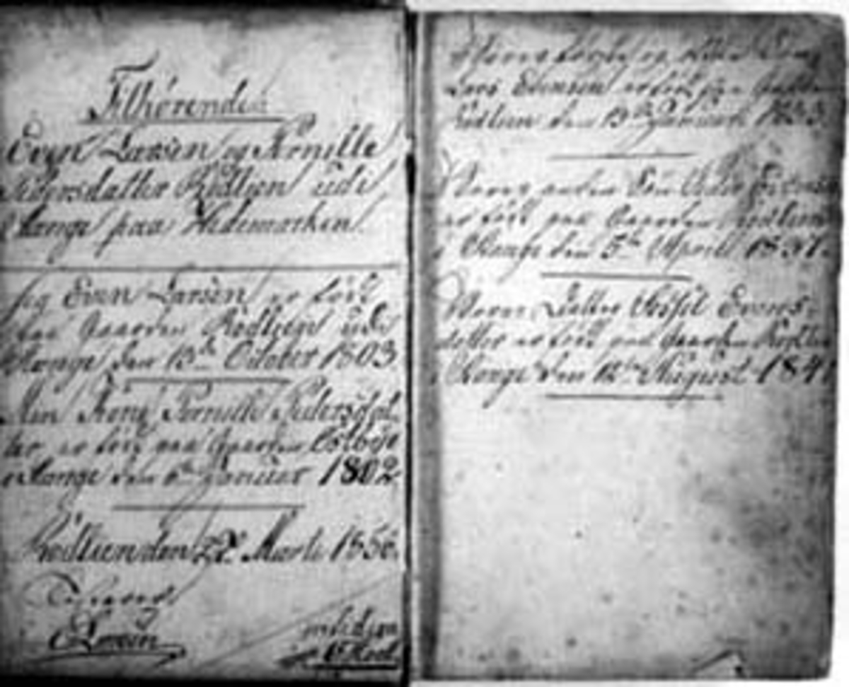 Normann Helger, INSKRIPSJON I BIBEL?, TILHØRENDE EVEN LARSEN OG PERNILLE PEDERSDATTER RØDLIEN UDI STANGE PAA HEDEMARKEN O. S. V.