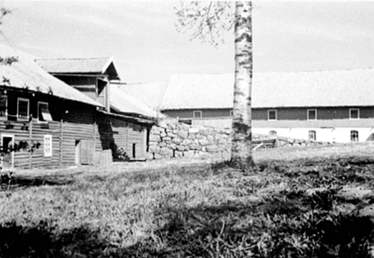 Anno Domkirkeodden, SØRBRYN GARD, INNTUNETMED DRIFTSBYGNINGER, TØMMERLÅVE MED LÅVEBRU, ISHUS