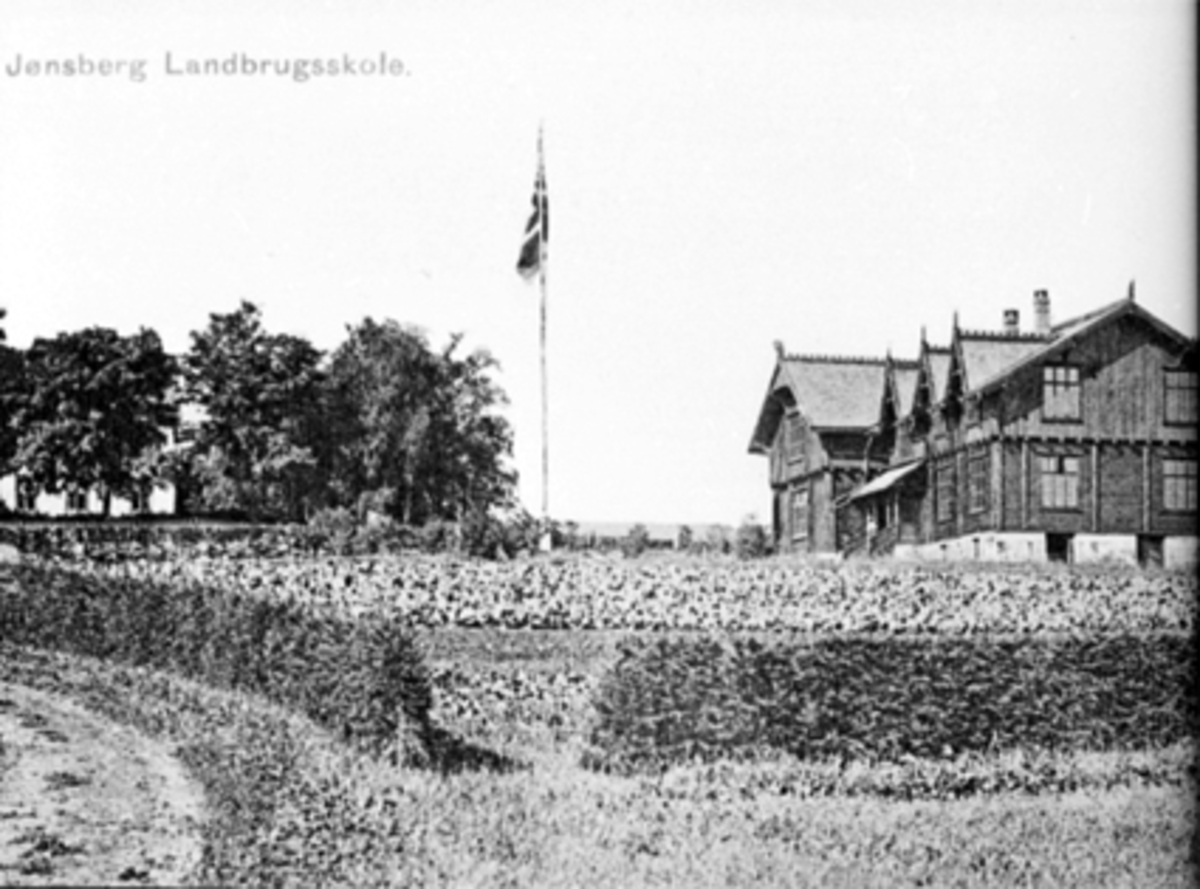 Anno Domkirkeodden, JØNSBERG LANDBRUKSSKOLE