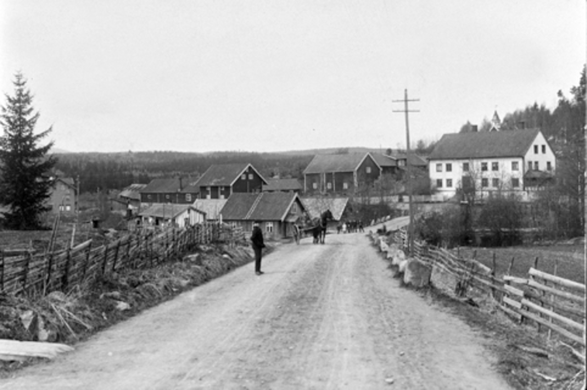 Anno Domkirkeodden, VIK GÅRD, TANGEN.