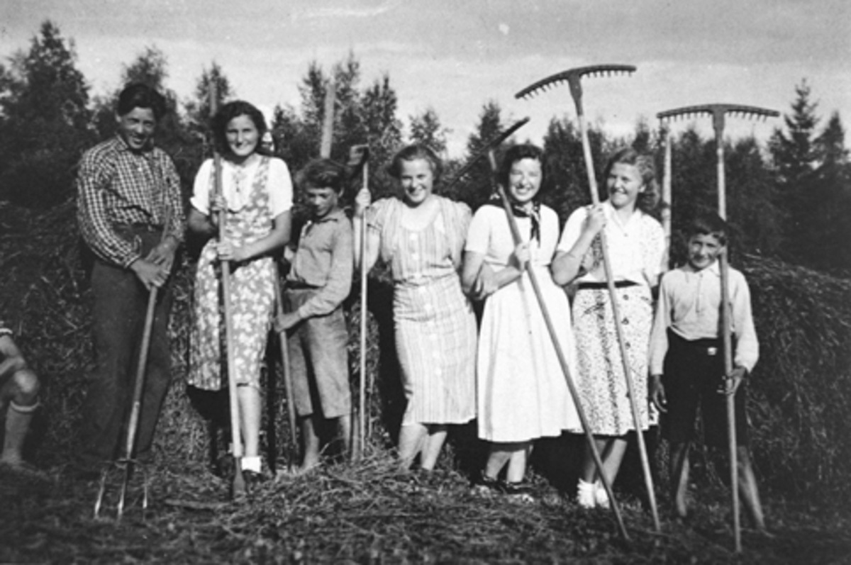 Anno Domkirkeodden, SLÅTTONN PÅ HAUKÅSEN. UKJENTE DAMER ER SOMMERGJESTER, GUTTENE ER ARTHUR, HALVOR OG ROLF.