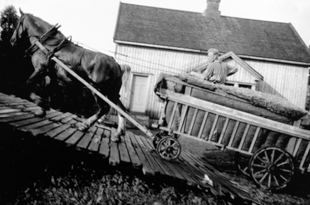 Anno Domkirkeodden, GODHOLEN, CA. 1950. TORE ØSTERHAGEN OG BLESSA KJØRER AVLINGEN INN PÅ LÅVEN, LÅVEBRU, HESTEKJØRETØY, CA. 1950