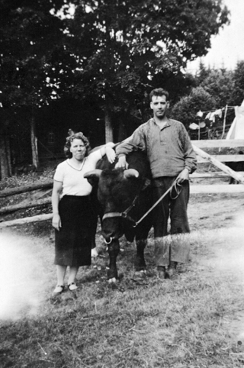 Anno Domkirkeodden, JOHAN OG AGNES JOHNSRUD, HALSTEINRUD, TANGEN, CA. 1940.