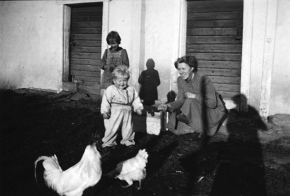 Anno Domkirkeodden, RAA NORDRE, STANGE. BERIT JACOBSEN G. FLOWER, PER NØKLEBY OG DERES TANTE LILLEMOR VEFLINGSTAD G. LUND MATER HØNER FORAN STABBURET. 1942-1943