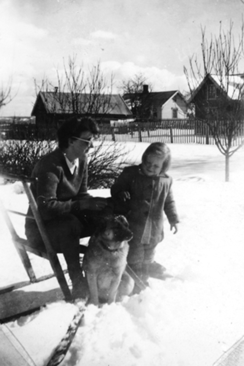 Anno Domkirkeodden, MÅLFRID FJELD G. LØVSTAD SITTER PÅ SPARKEN, UKJENT, ELGHUNDEN HETER TONY. I BAKGRUNNEN SER VI NYBAKK OG GRINDAKER. 1948.