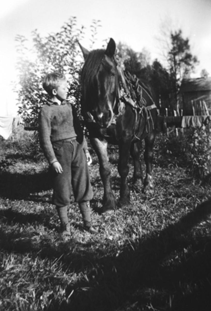 Anno Domkirkeodden, PAUL HEGGELUND OG BRUNA, HEGGELUND I STANGE 1945-1947.