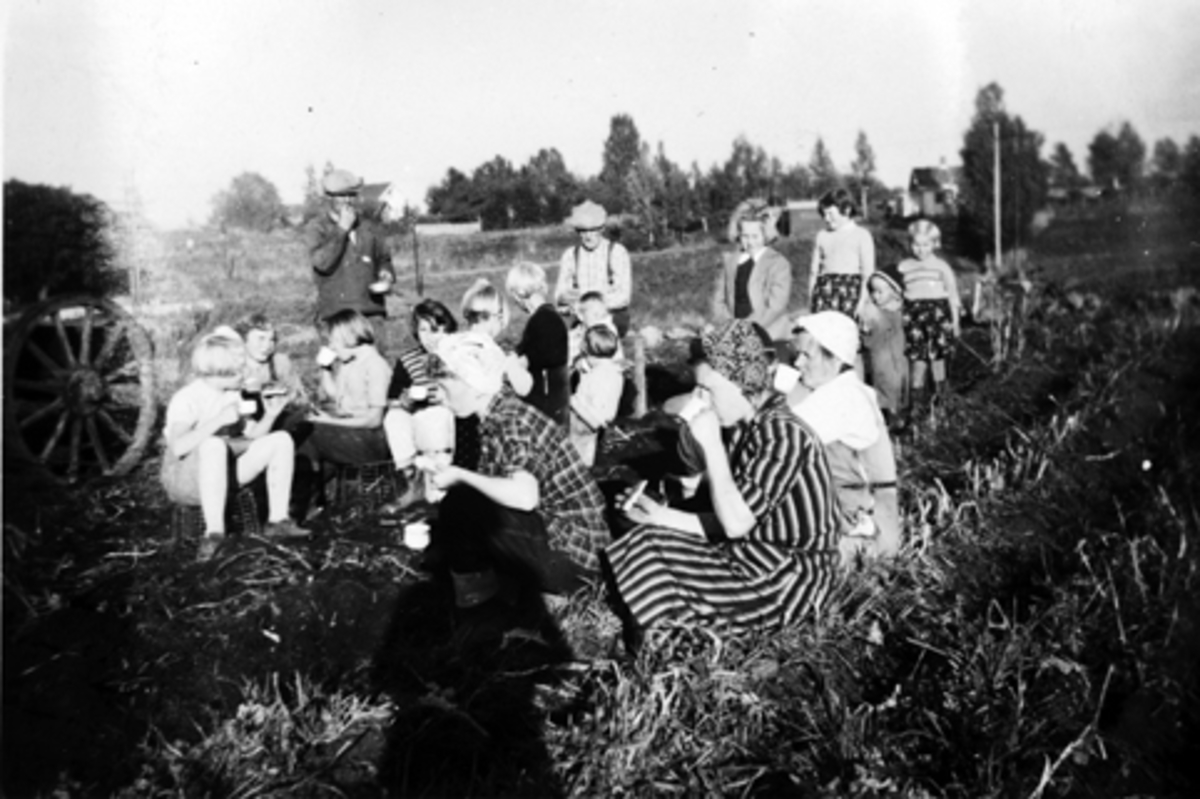 Anno Domkirkeodden, HEGGELUND I STANGE, CA. 1954. "HØGDAGSKAFFE" PÅ JORDET UNDER POTETONNA. ANNE MARIE HEGGELUND, INGER HEGGELUND, ANNI PEDERSEN, EIVIND HEGGELUND, KARI "BEKK", HELENE "BEKK", EVA PETTERSEN, JOHAN HEGGELUND, EVELYN JOHNSEN, SOLVOR HILD, MARTIN NØKLEHOLM