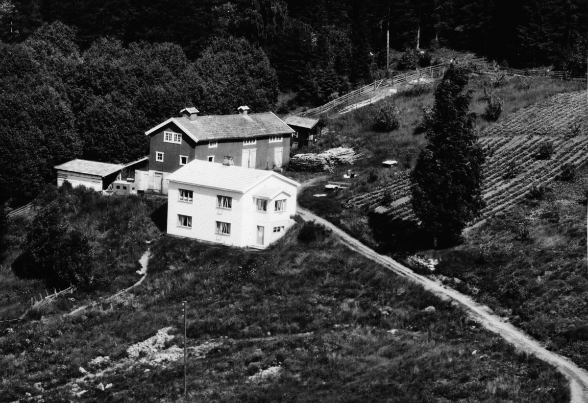 Ukjent, Pålsrud på 1950-tallet. Flyfoto.