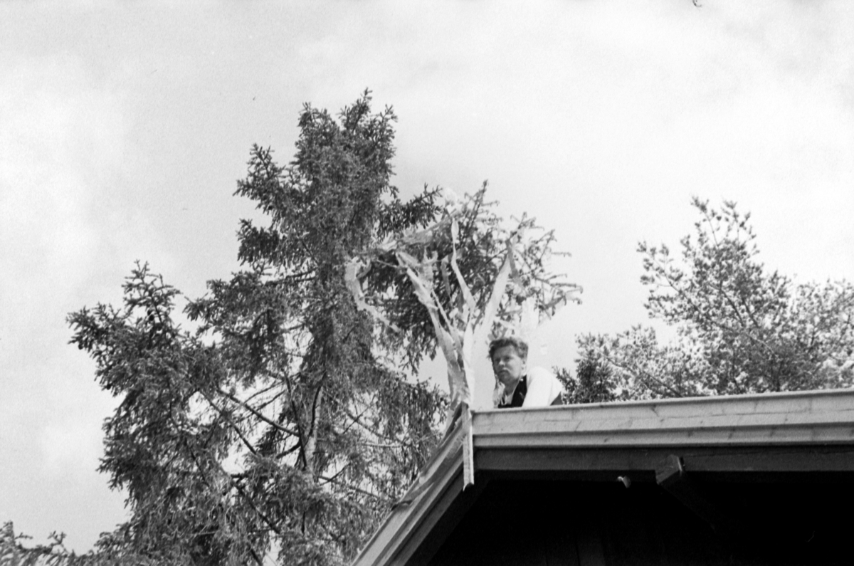 Adolf Skjegstad, Kranseskål, Skjegstadhytta, Adolf Skjegstad