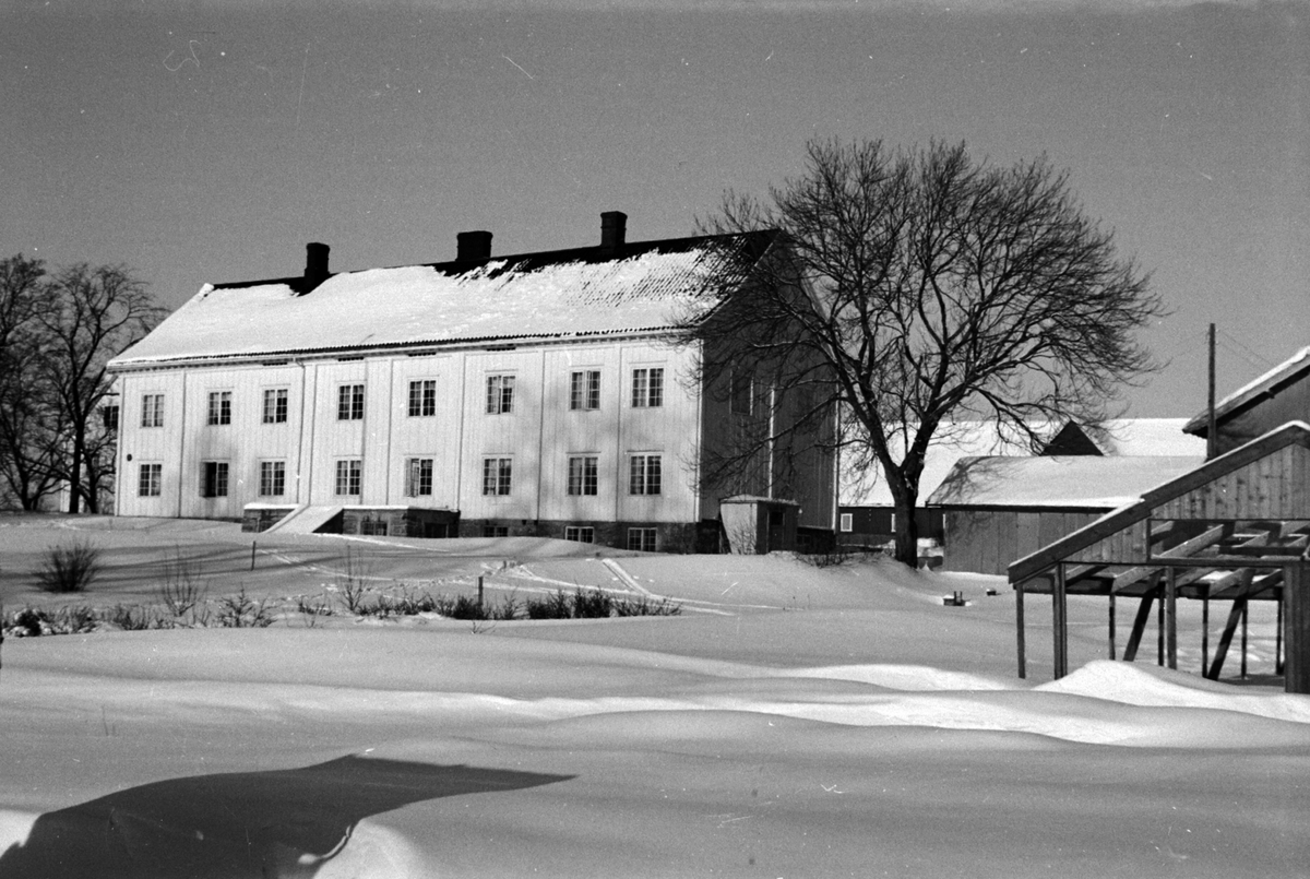 Adolf Skjegstad, ASK-01158