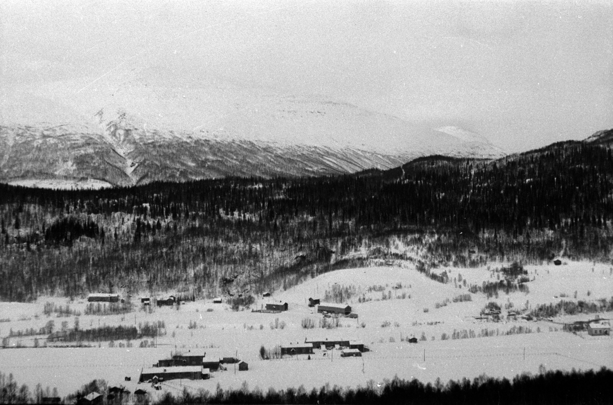 Adolf Skjegstad, NORGES STATSBANER, NORDLANDSBANEN, LANDSKAP. Foto tatt fra åpningstoget Mo i Rana - Lønsdal 8. desember 1947. Bilde viser gårdene på Bjøllånes mellom Dunderland og Hjartåsen. Ole Tobias Olsen som regnes som " Nordlandsbanen´s far " ble født her 18. august 1830.