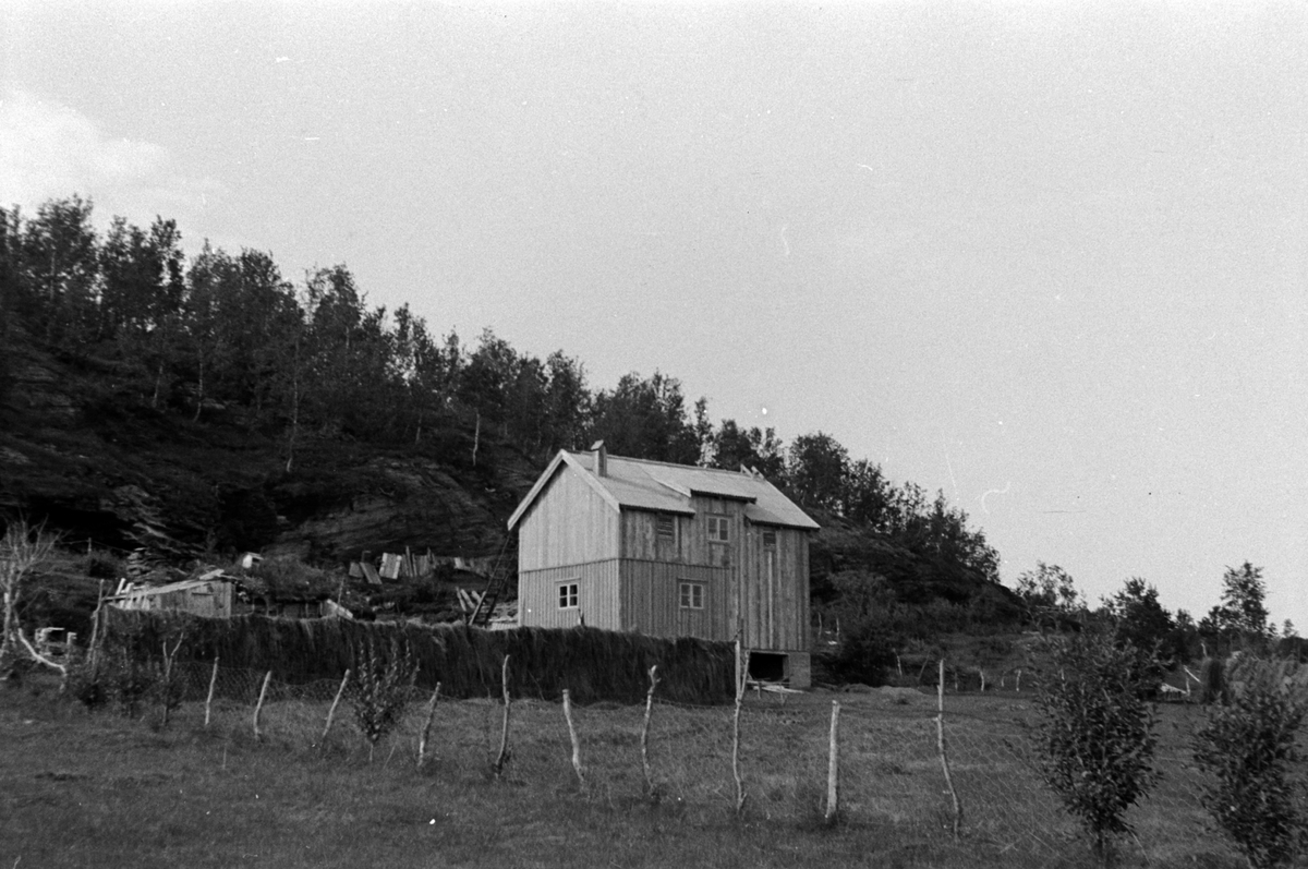 Adolf Skjegstad, ASK-01256
