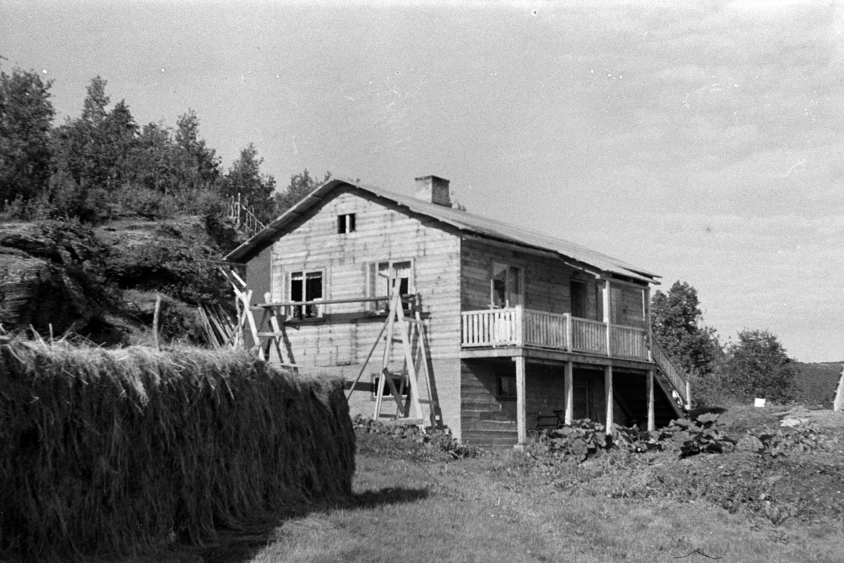 Adolf Skjegstad, ASK-01257