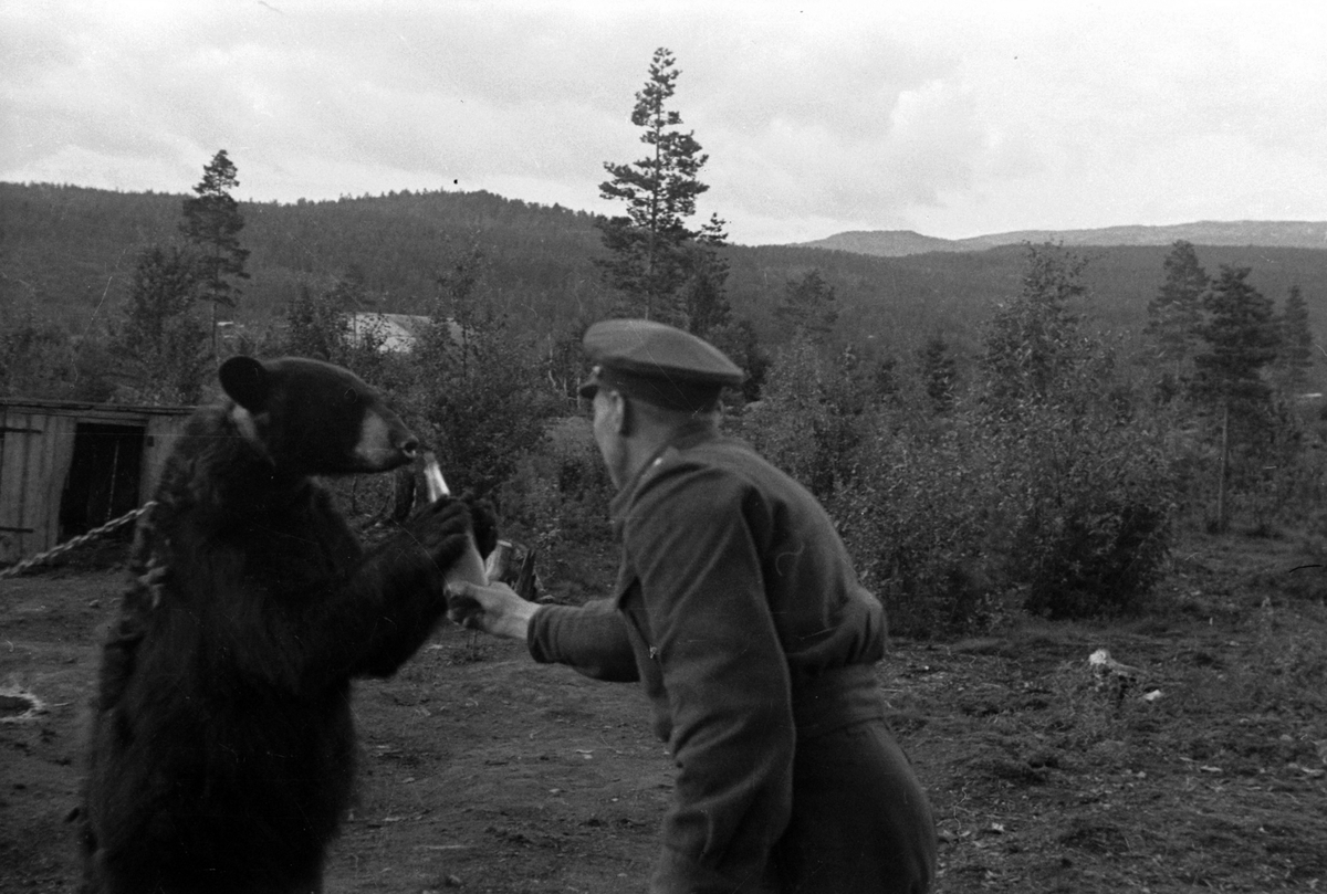 Adolf Skjegstad, ASK-01346