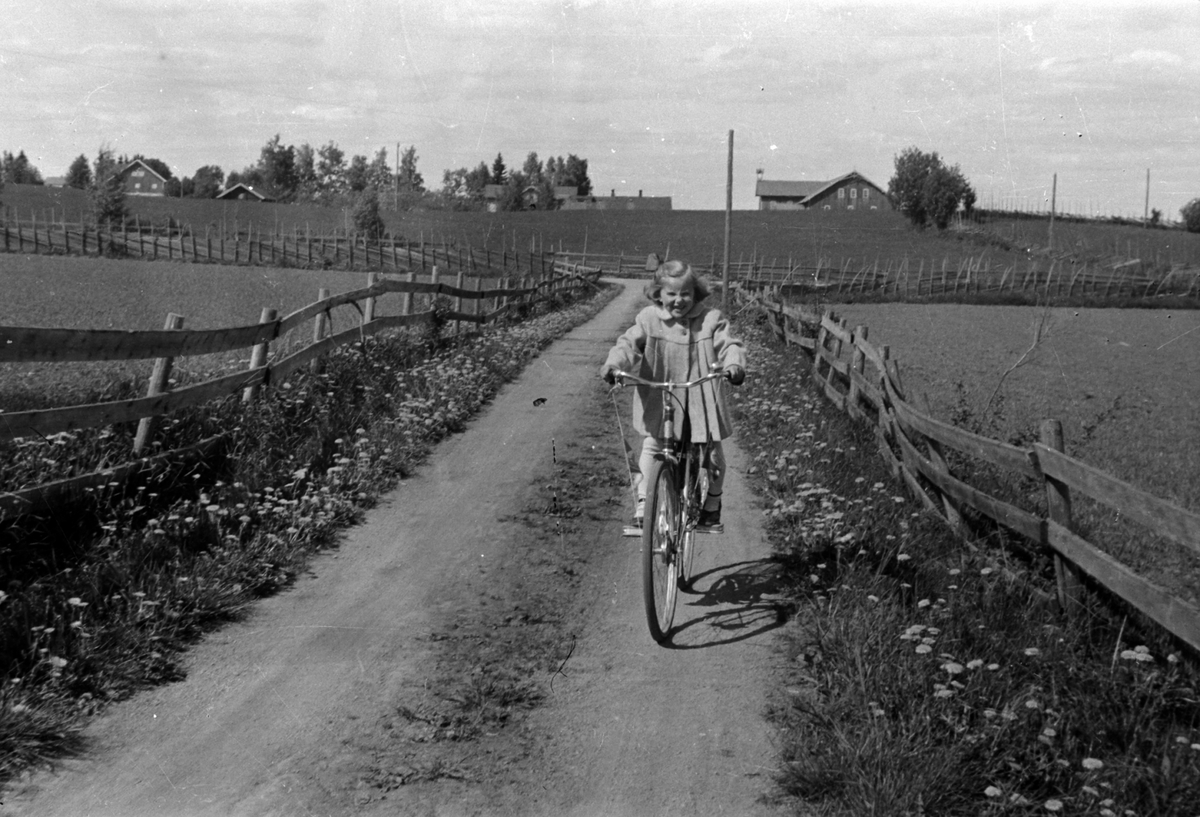 Adolf Skjegstad, Asbjørg Skjegstad på Uthus Gard i Stange. Garden lå der Uthuskrysset på E-6 ligger i dag. Sykkel, bygdeveg, gjerde, landskap.