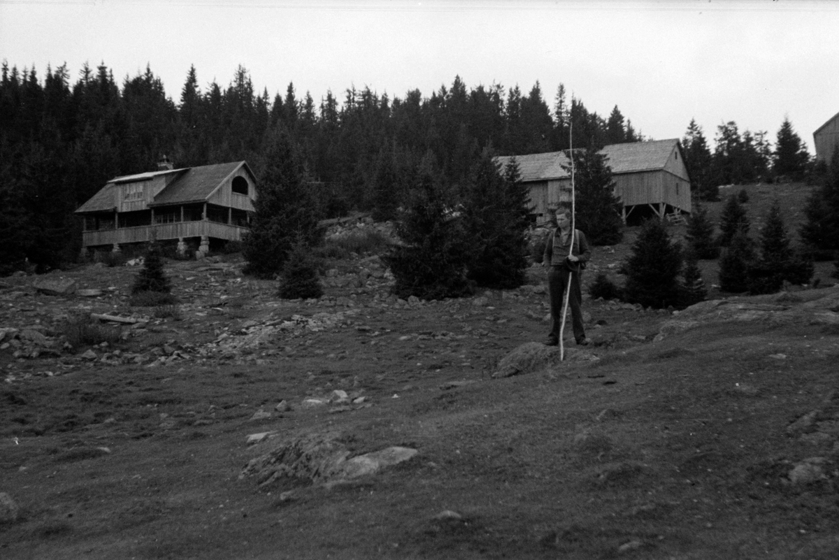 Adolf Skjegstad, ASK-01433