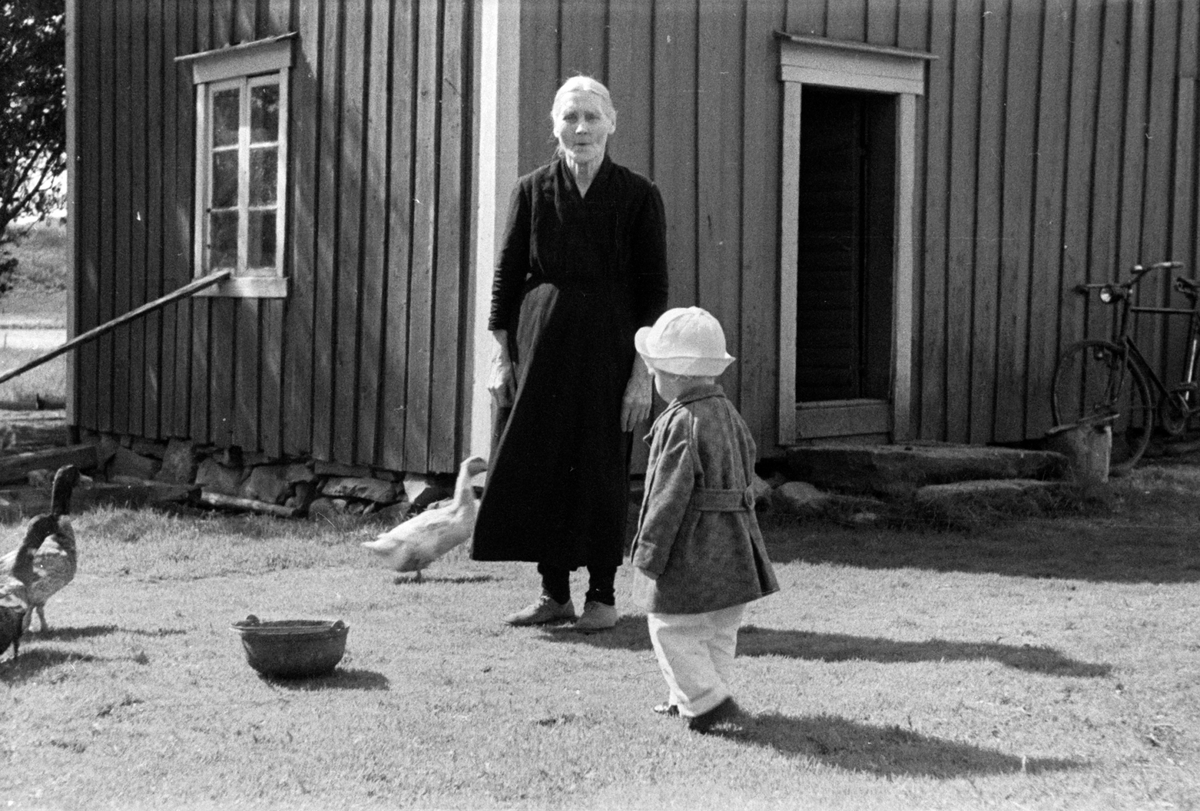 Adolf Skjegstad, ASK-01571