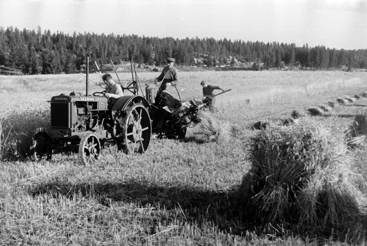Adolf Skjegstad, SKURONN, TRAKTOR MED SLEPETRESKER, UTHUS GÅRD, ROMEDAL.