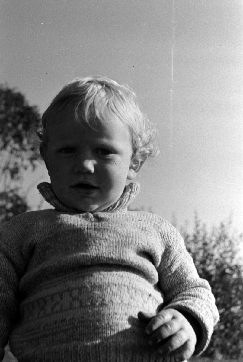 Adolf Skjegstad, ASK-01771