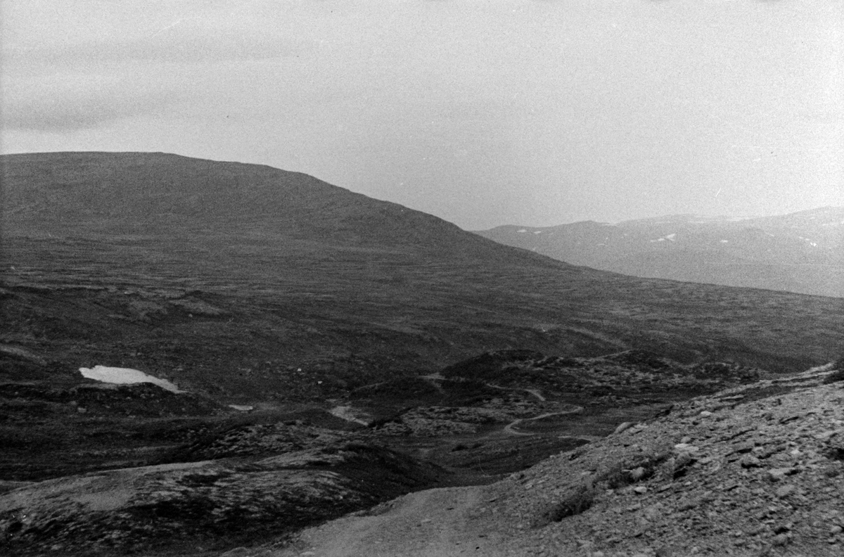 Adolf Skjegstad, ASK-01872