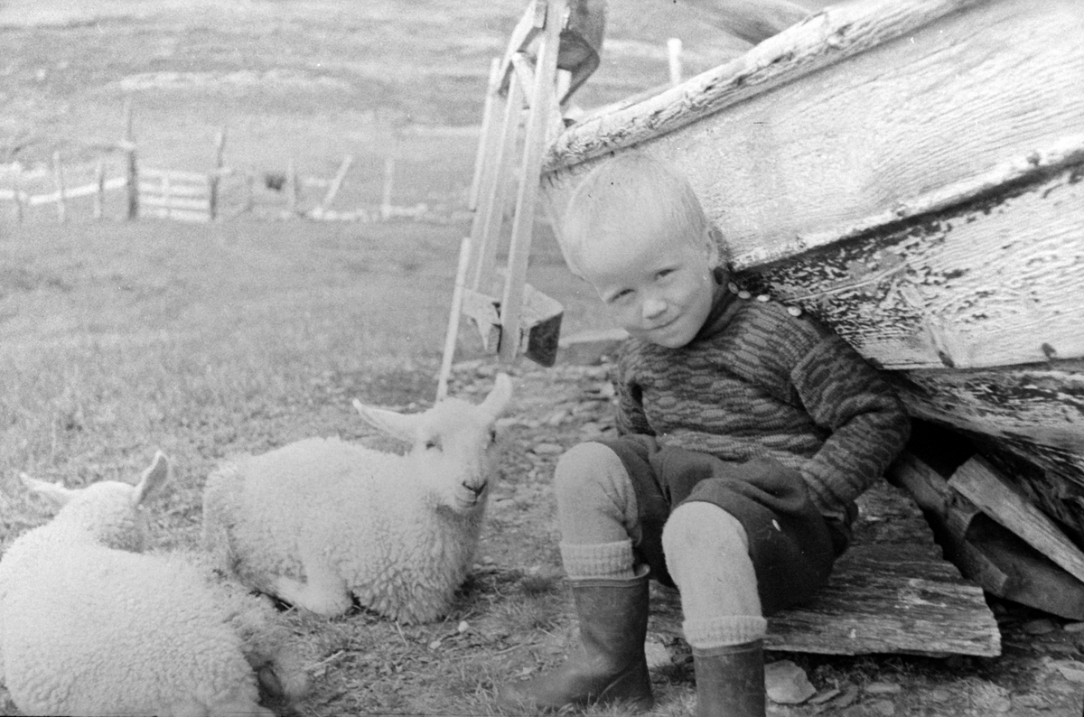 Adolf Skjegstad, ASK-01879