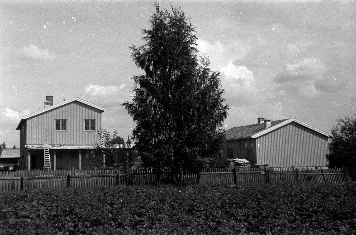 Adolf Skjegstad, BREIDABLIKK SKOLE, ILSENG UNDER BYGGING.