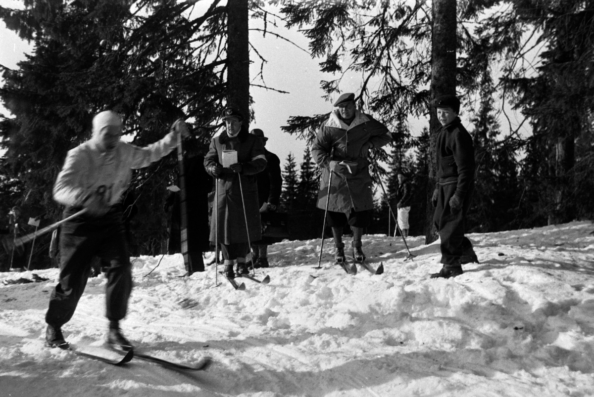 Adolf Skjegstad, KONG OLAV PÅ SKI, TILSKUER PÅ LANGRENN.