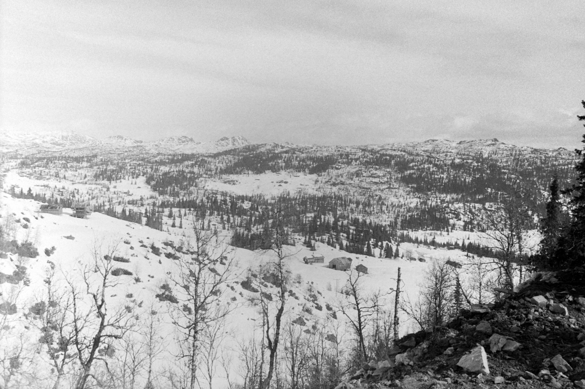Adolf Skjegstad, ASK-02172