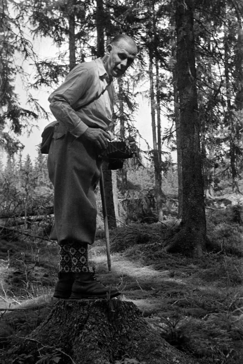 Adolf Skjegstad, ASK-02185