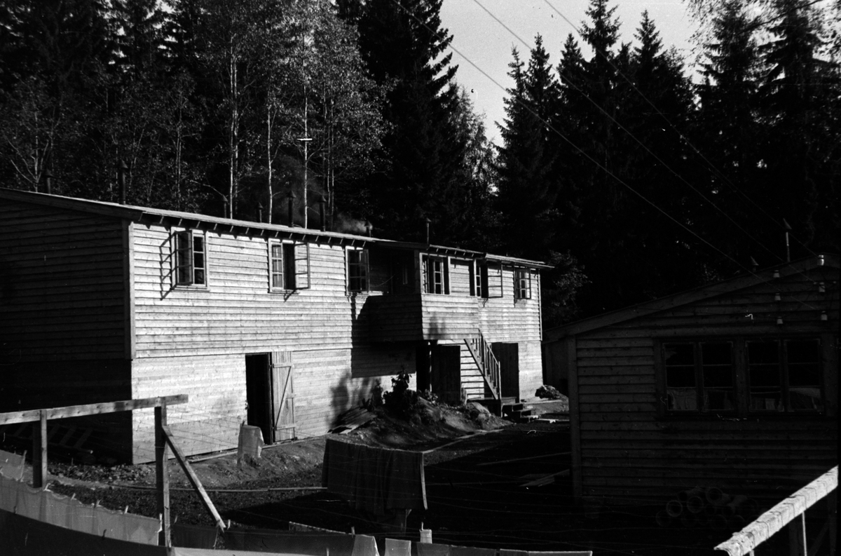 Adolf Skjegstad, ASK-02213