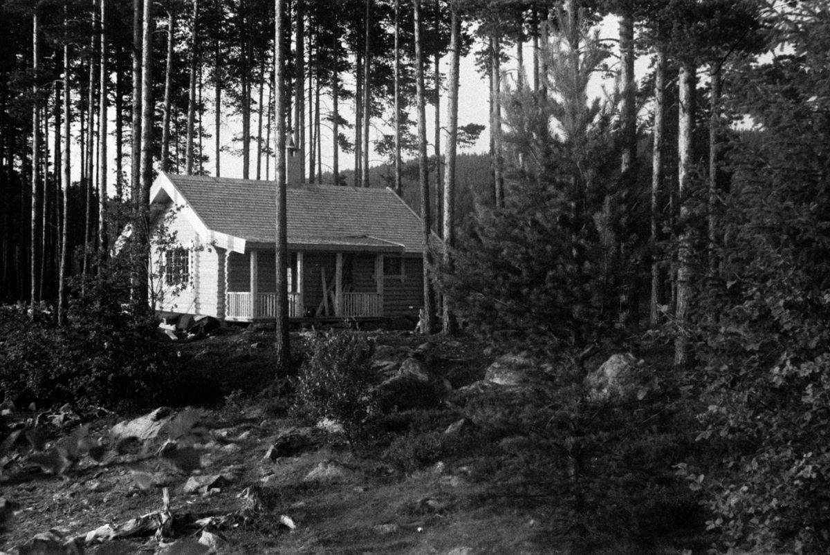 Adolf Skjegstad, ASK-02259