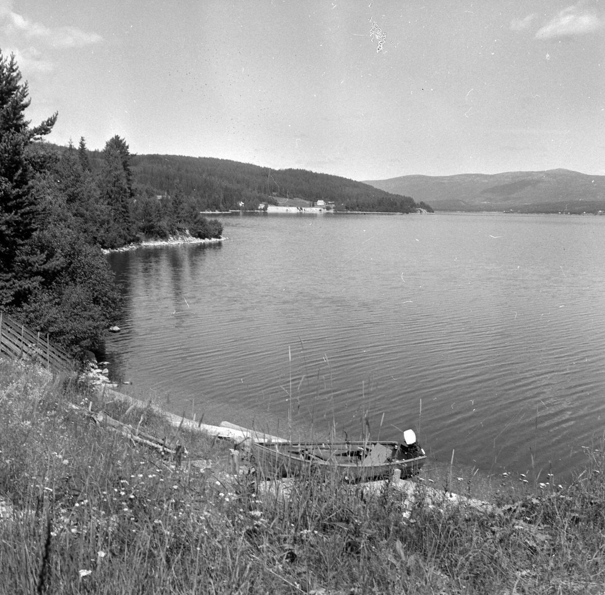 Adolf Skjegstad, ASK-02294