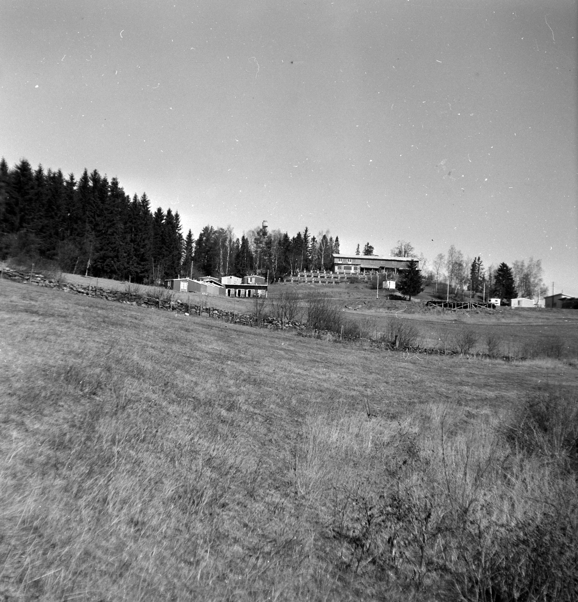 Adolf Skjegstad, HEDMARKSTOPPEN, HAMAR