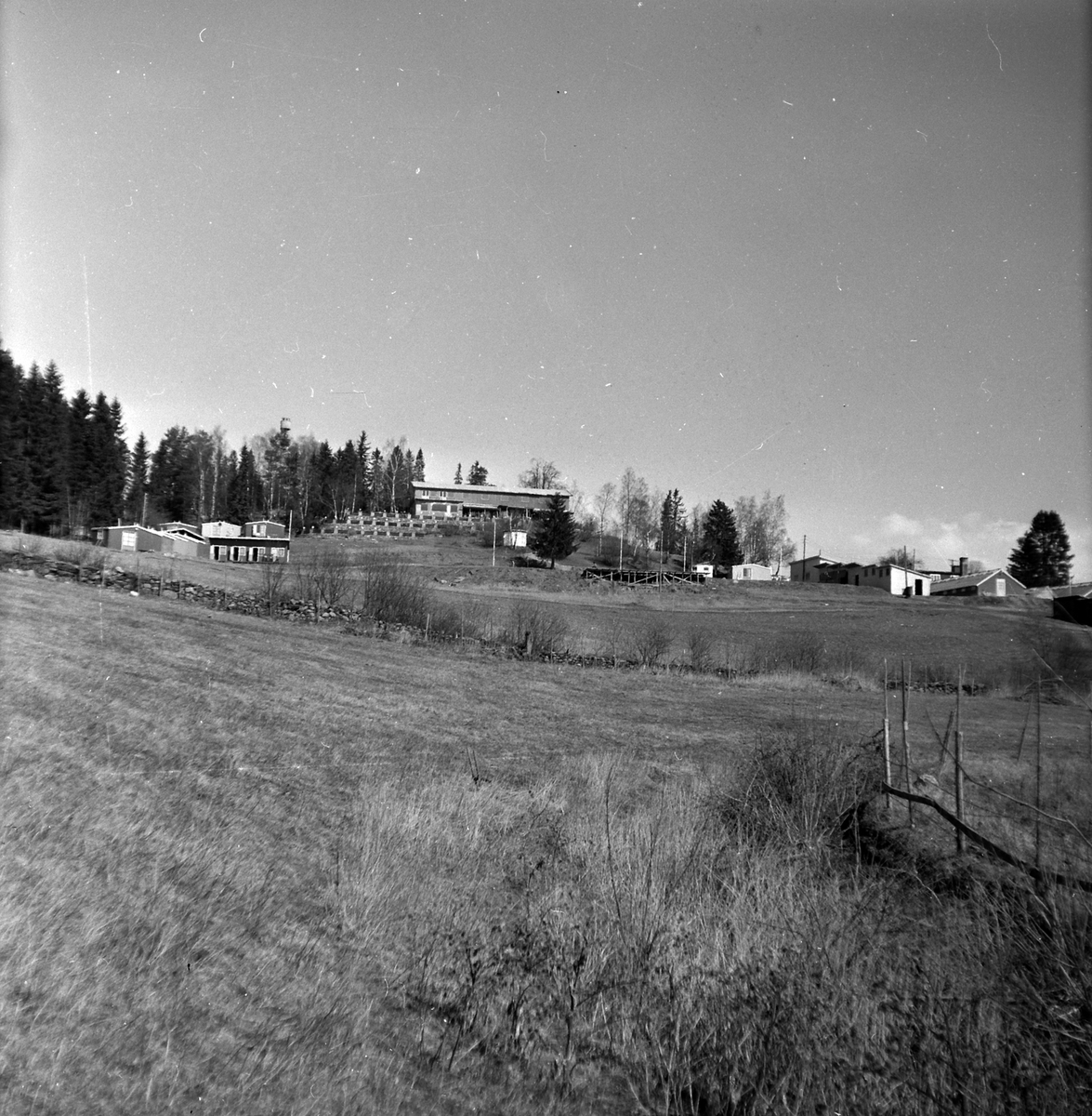 Adolf Skjegstad, HEDMARKSTOPPEN, HAMAR