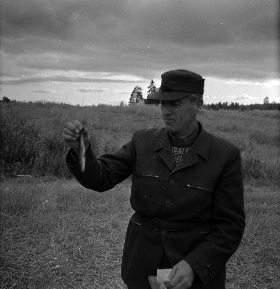 Adolf Skjegstad, ASK-02473