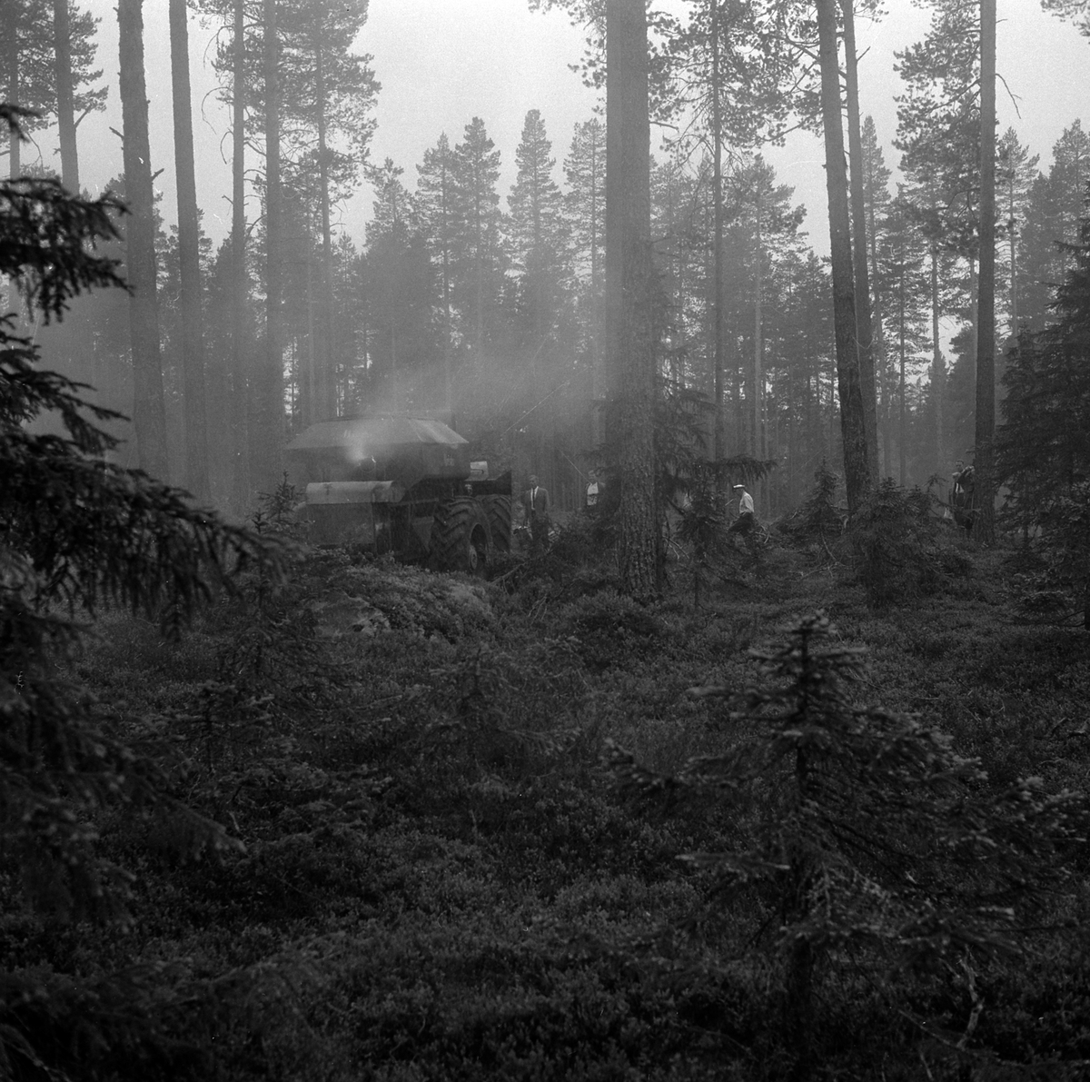 Adolf Skjegstad, ASK-02602